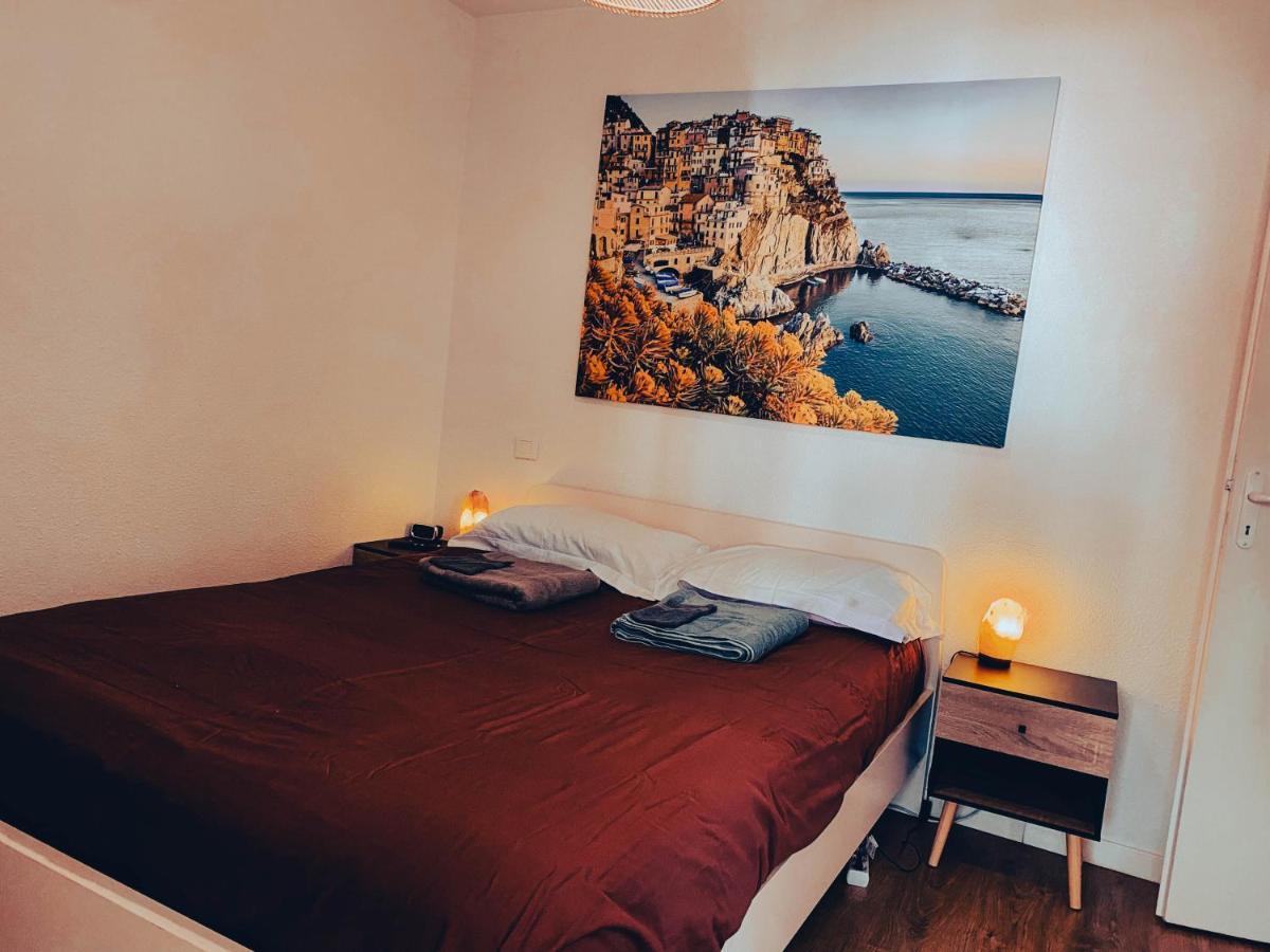 L'Evidence, Residence Calme Au Rdc Avec Parking Toulouse Exterior foto